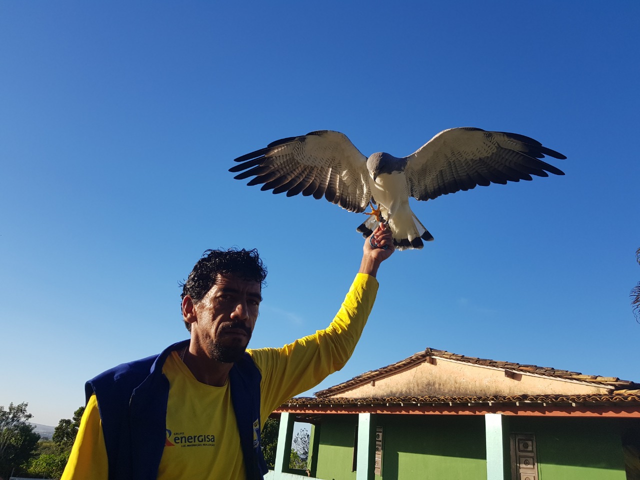 Parque dos Falcões